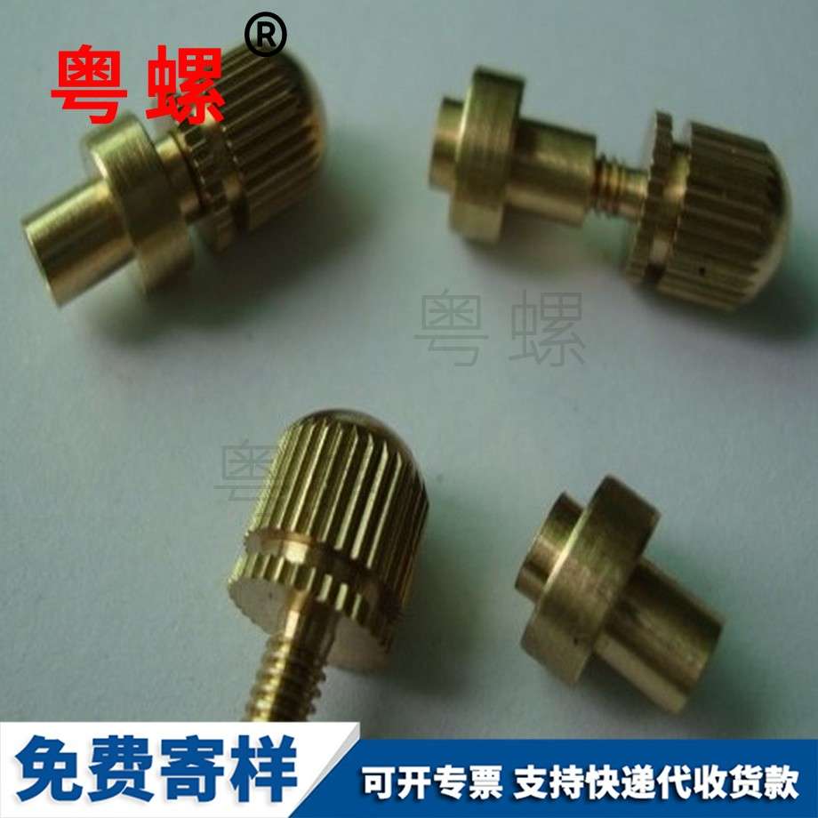 燃氣熱水器非標臺階銅釘 燃氣熱水器非標臺階銅釘