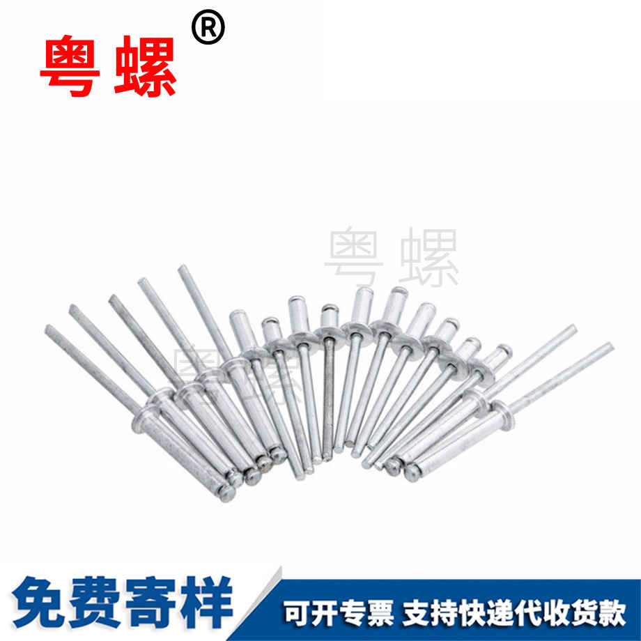 訂做鋁秦皇島抽芯鉚釘