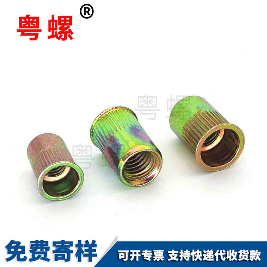 秦皇島拉鉚螺母