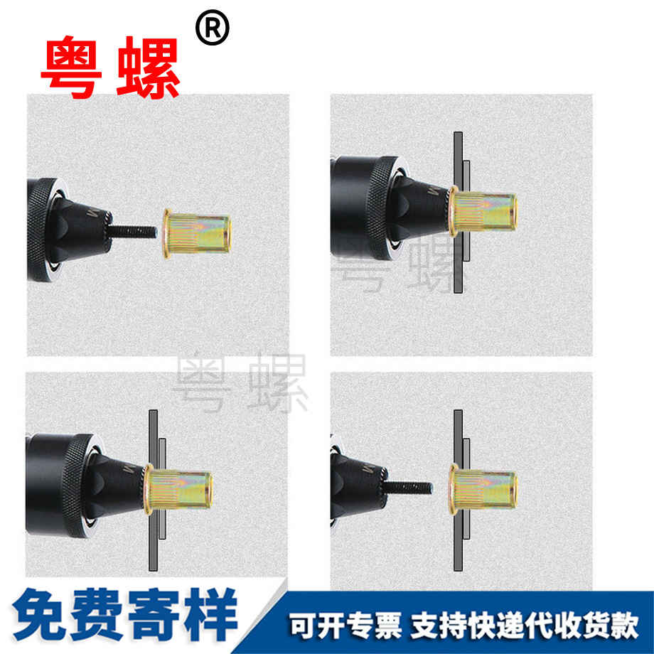 迪慶平頭豎紋迪慶拉鉚螺母