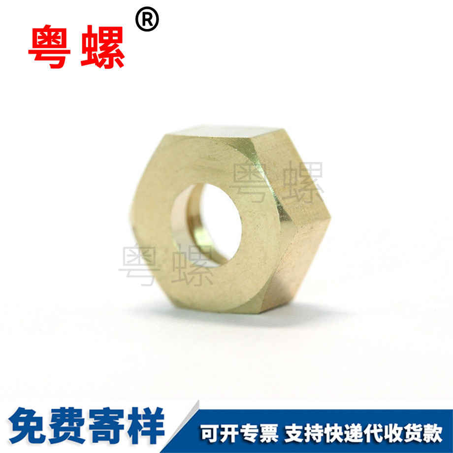 智能家用拖地機(jī)臨滄六角臨滄銅螺母
