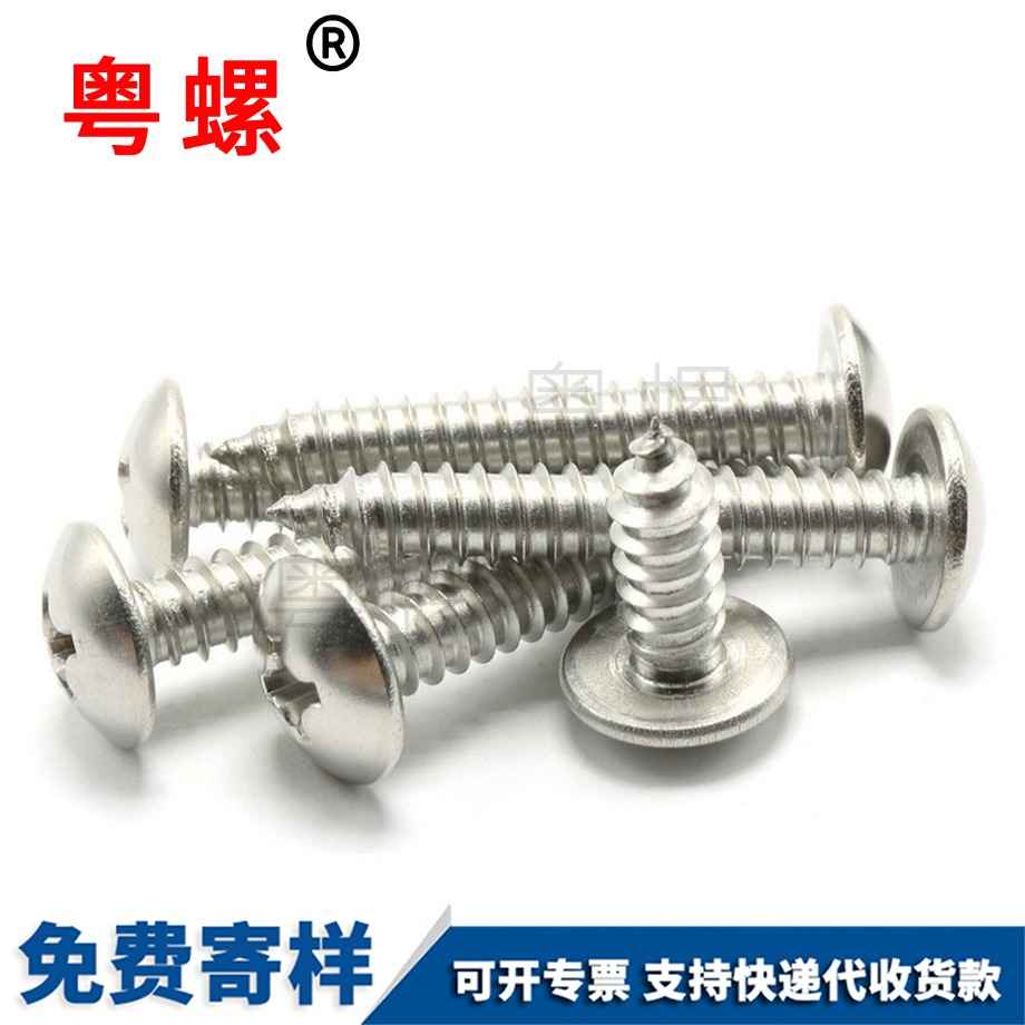 蘑菇頭迪慶自攻釘