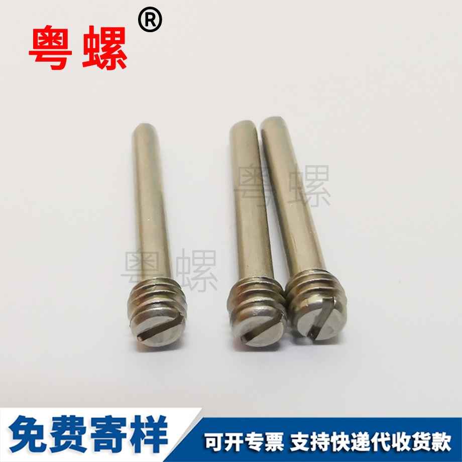 非標(biāo)西雙版納一字螺絲