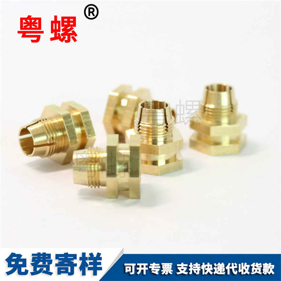 非標臺階昌都銅螺母